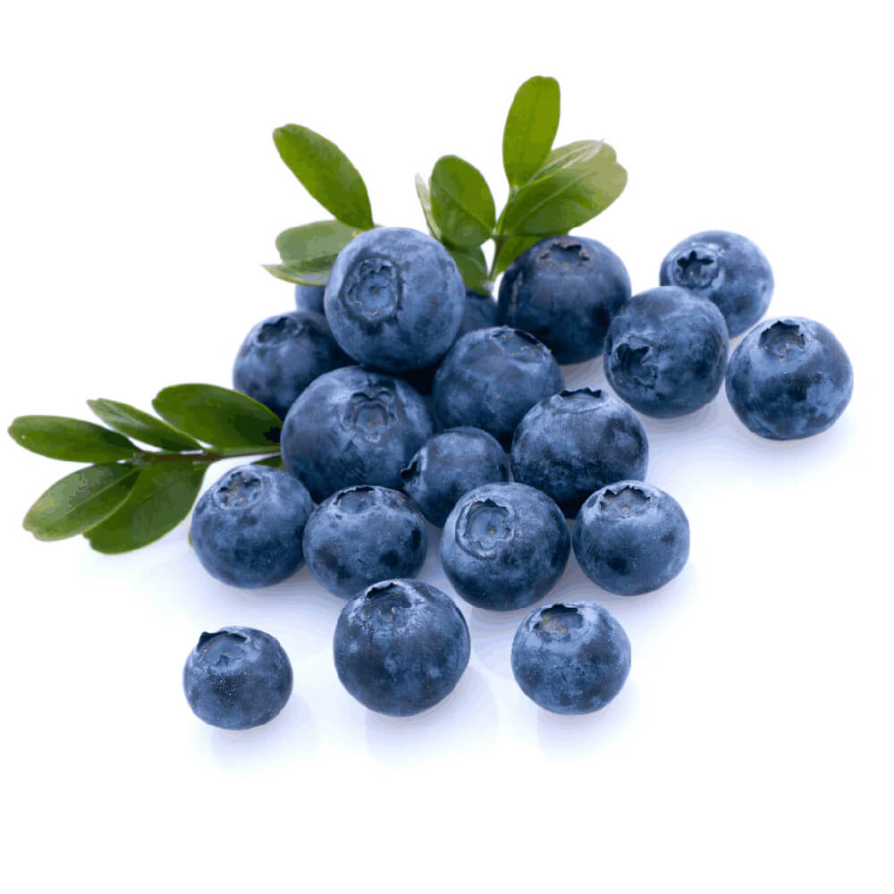 Elite Berry Blueberries Uae 125g Pack
