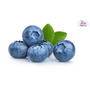 Elite Berry Blueberries South Africa 300g Pack
