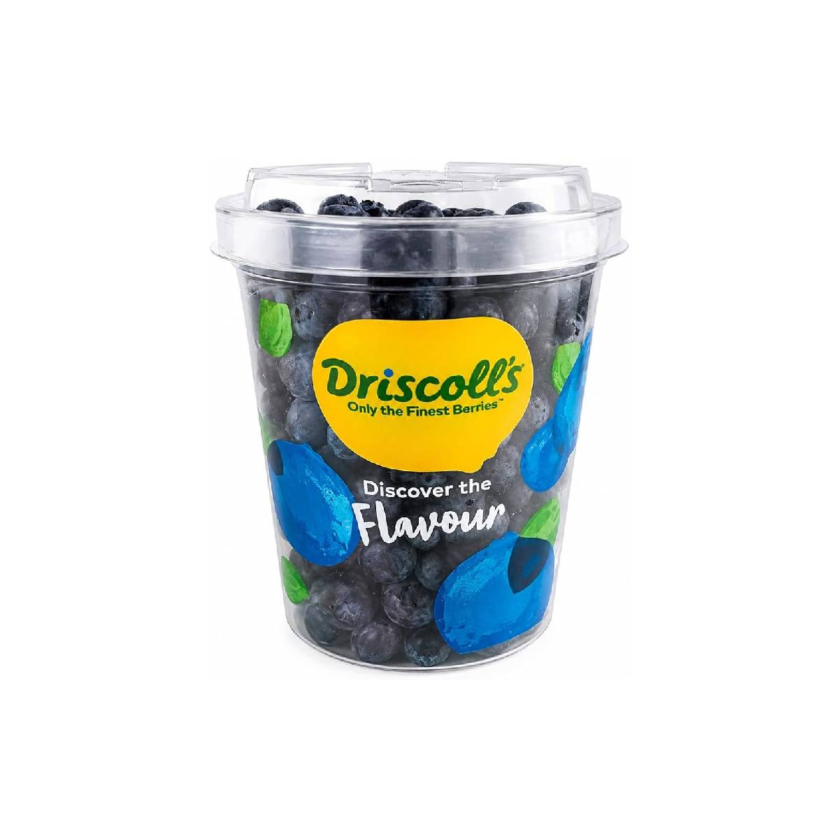Blueberry Zimbabwe 500g Pack