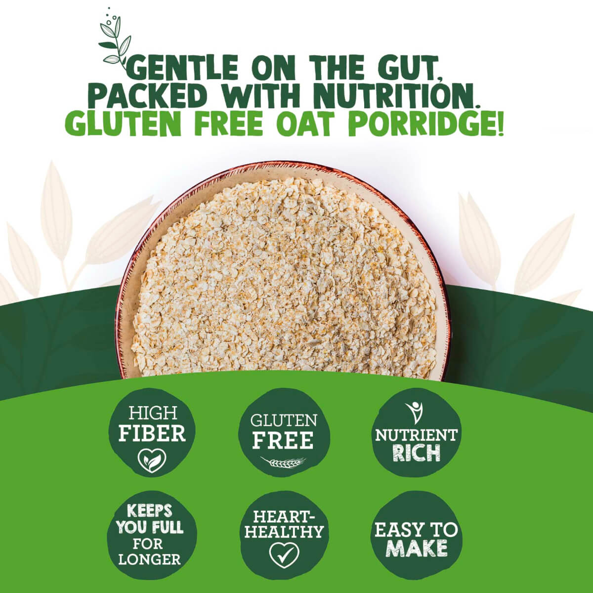 Earth Goods Organic Oat Porridge 500g