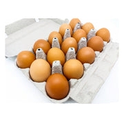 ADPF Organic Eggs 15 Pieces