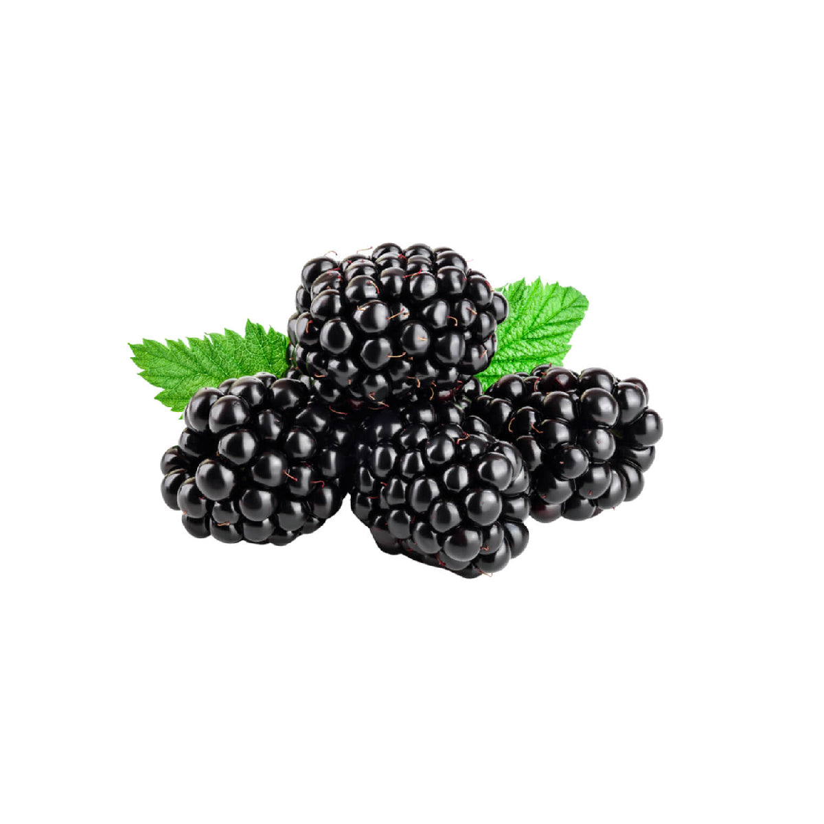 Blackberry 125gm UAE Packet