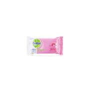Dettol Anti Bacterial Wipes Skincare 10s