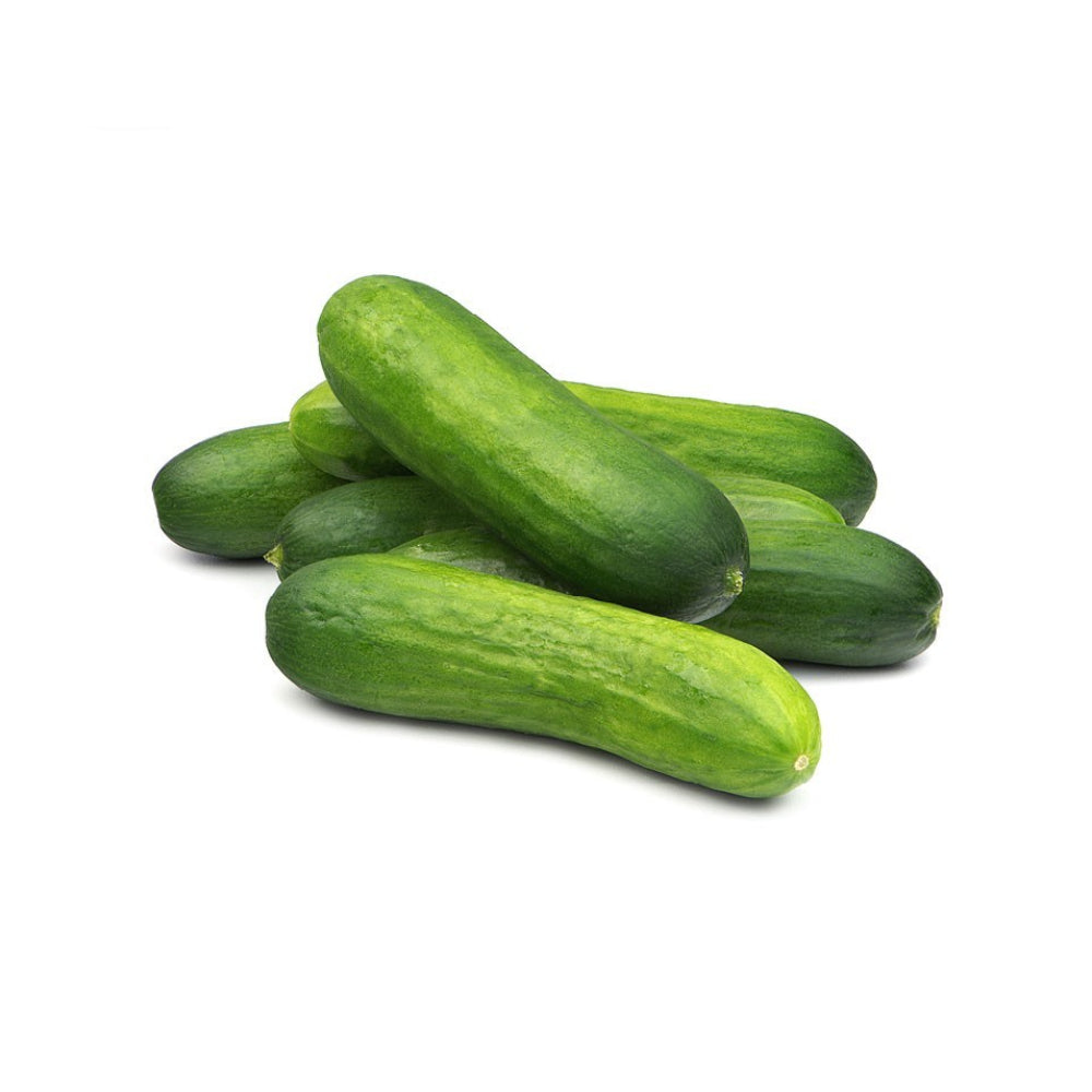 Teach Egro Baby Cucumber UAE 250G Pack