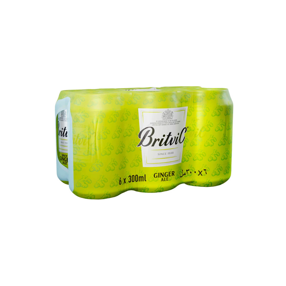 Britvic Ginger Ale Carbonated Water 300ml 5+1 Free