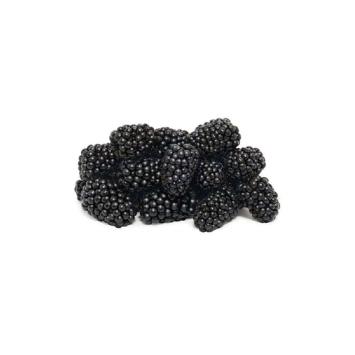 Pure Harvest Blackberries UAE 170g Pack