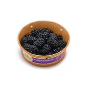 Pure Harvest Blackberries Uae 170g Pack