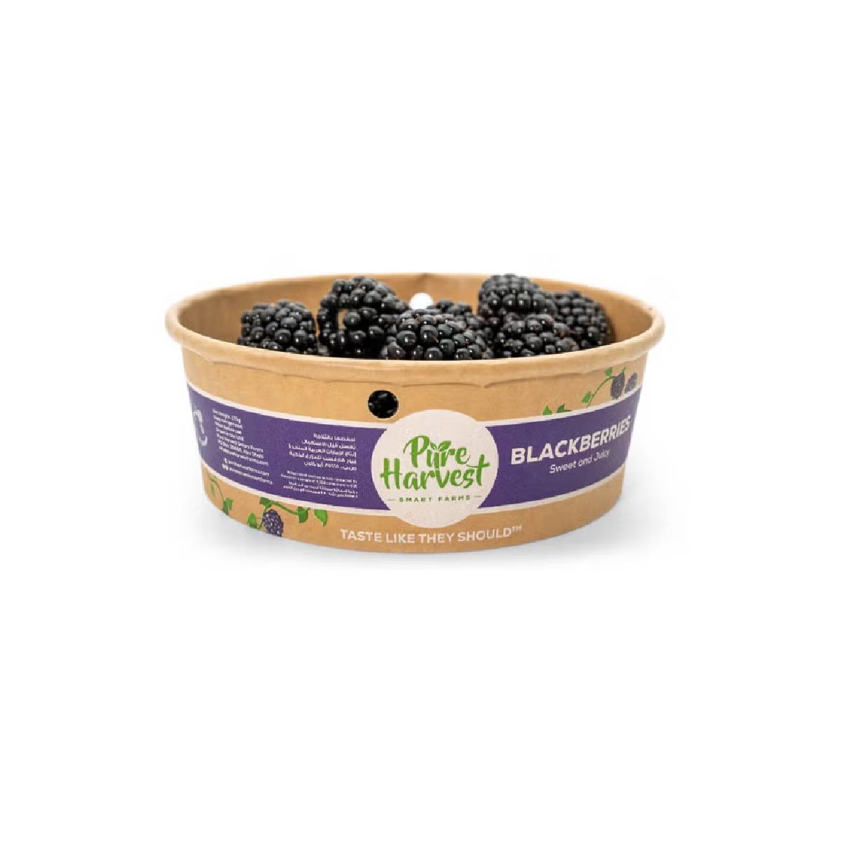 Pure Harvest Blackberries UAE 170g Pack