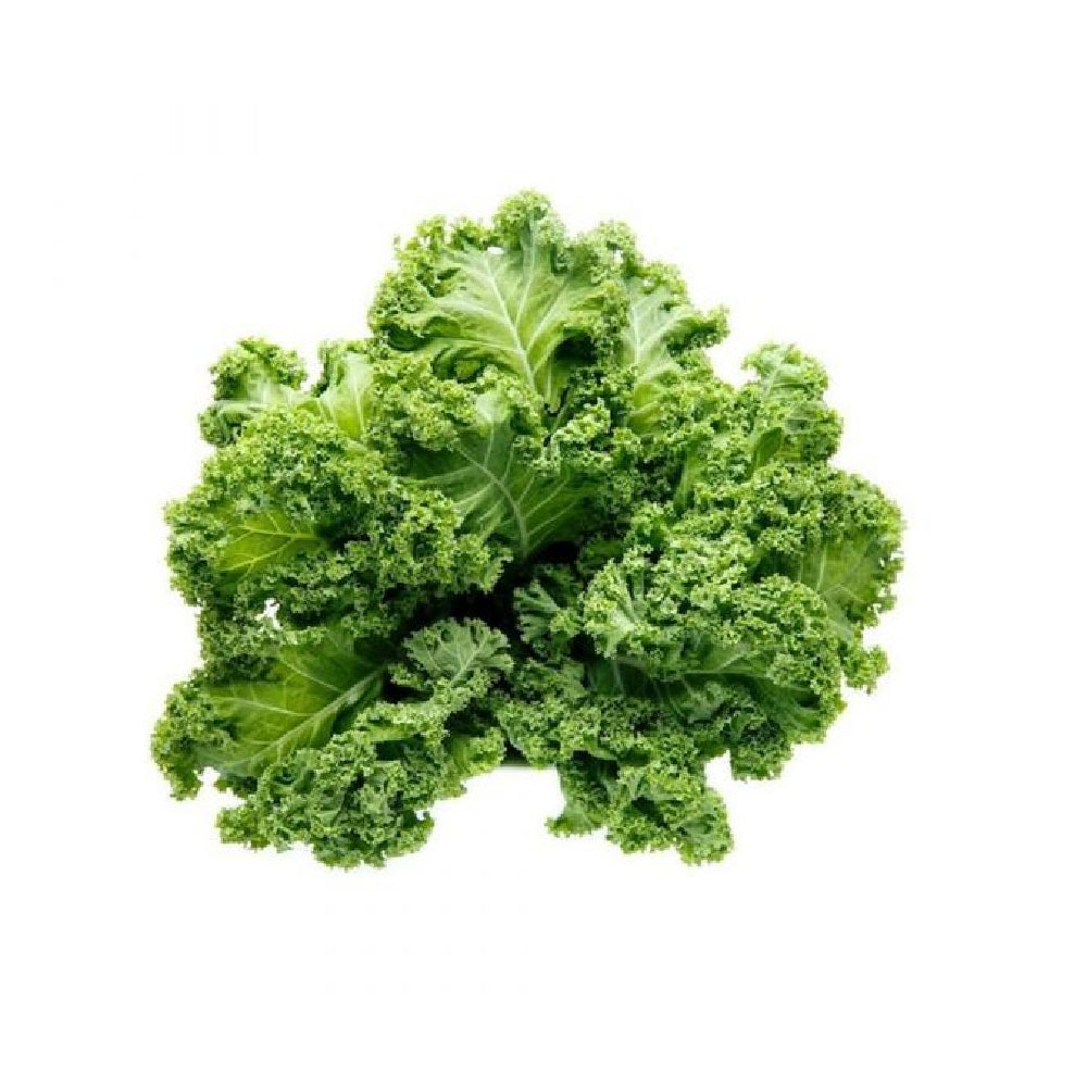 Vegberry Curly Kale Uae 100g Pack