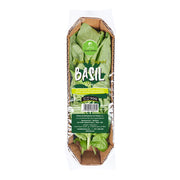 Leto Basil Uae 50g Pack