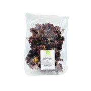 Leto Lollo Rosso Lettuce Uae 100g Pack
