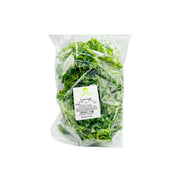 Leto Curly Kale Uae 100g Pack
