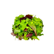 Hygrow Spicy Mix Uae 100g Pack