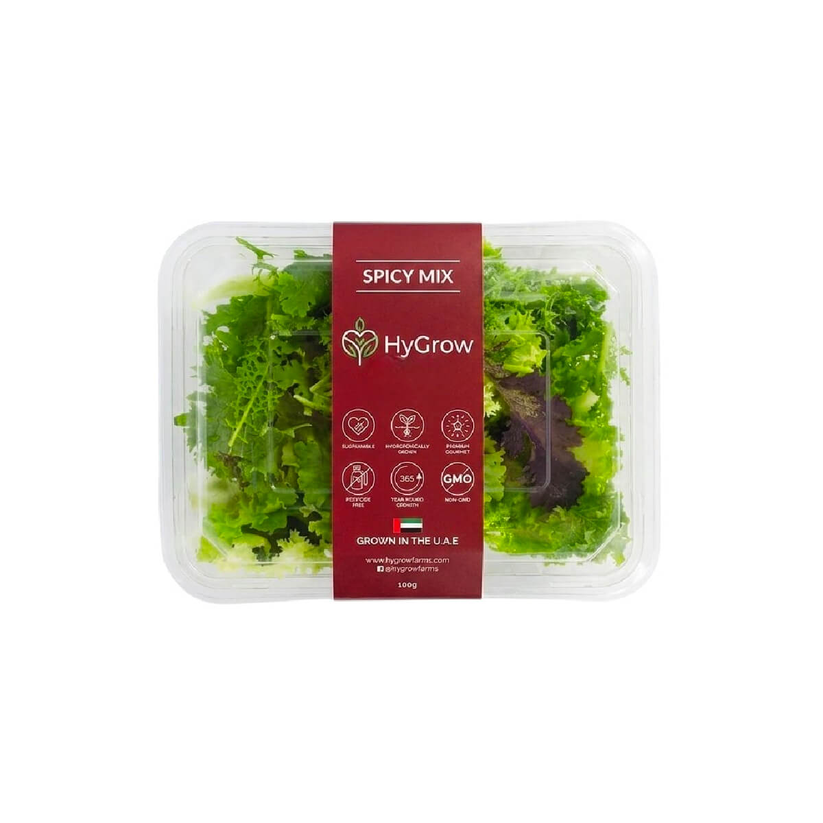 Hygrow Spicy Mix Uae 100g Pack