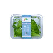 Hygrow Red Crunchy Lettuce Uae 100g Pack