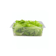 Hygrow Green Batavia Lettuce 100g Pkt