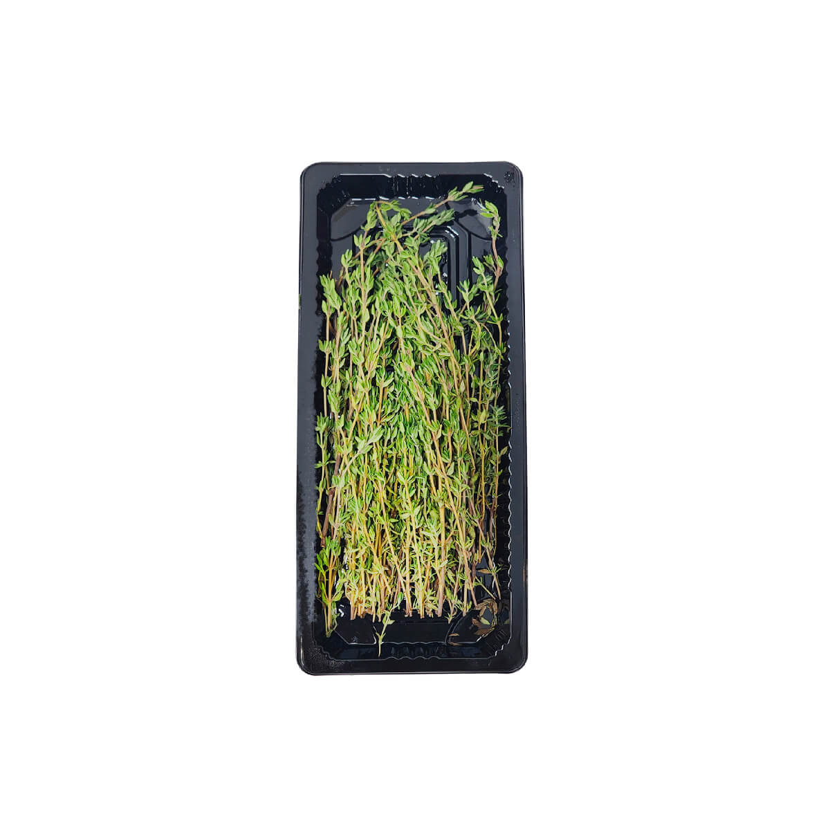 Hygrow Thyme Uae 50g Pack