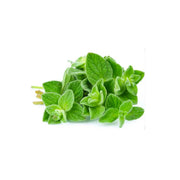 Hygrow Oregano Uae 50gm Pack