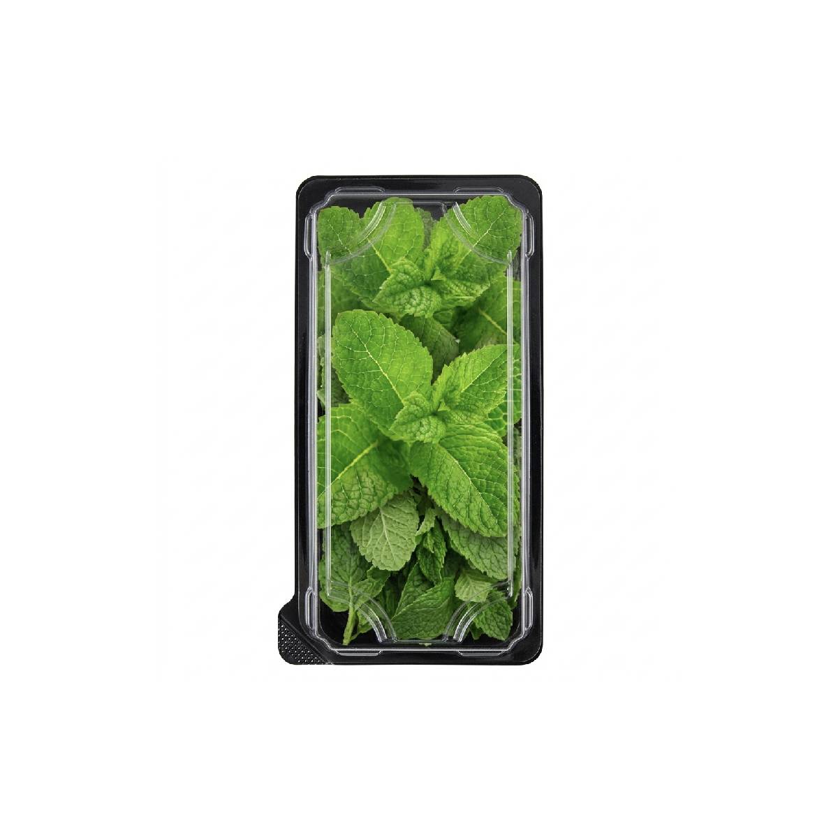 Hygrow Spear Mint UAE 50g Pack