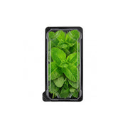 Hygrow Spear Mint UAE 50g Pack