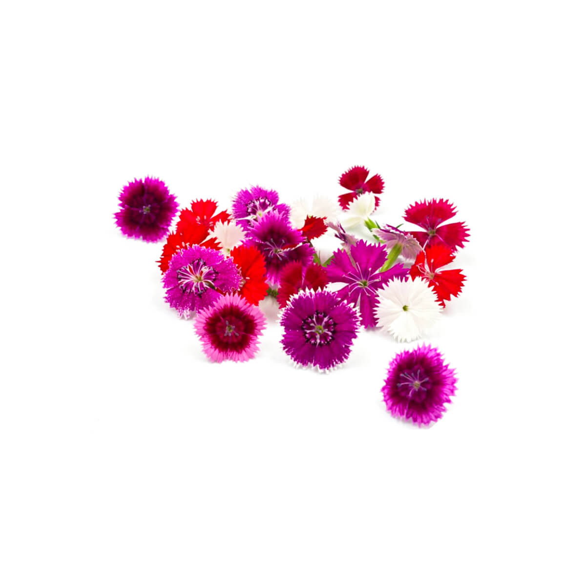 Hygrow Edible Flower Diantus Uae  20 Psc