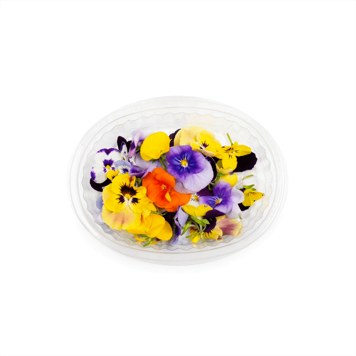 Hygrow Edible Flower Viola Uae 20 Pcs