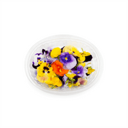 Hygrow Edible Flower Viola Uae 20 Pcs