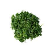 Hygrow Micro Peashoot Uae 40g Pack