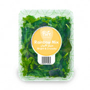 Pure Harvest Rainbow Salad Mix Uae 100g Pack