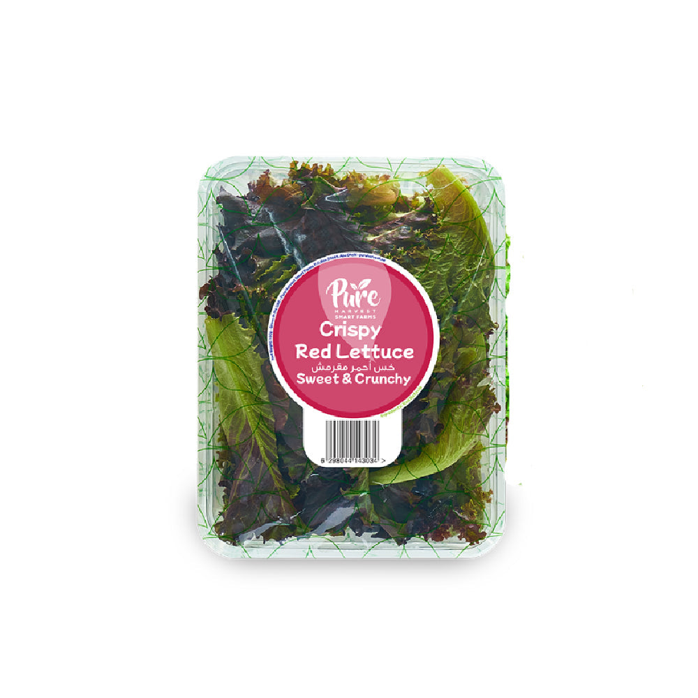 Pure Harvest Crunchy Red Lettuce Uae 125g Pack