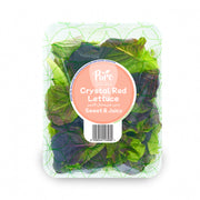 Pure Harvest Crystal Red Lettuce Uae 100g Pack