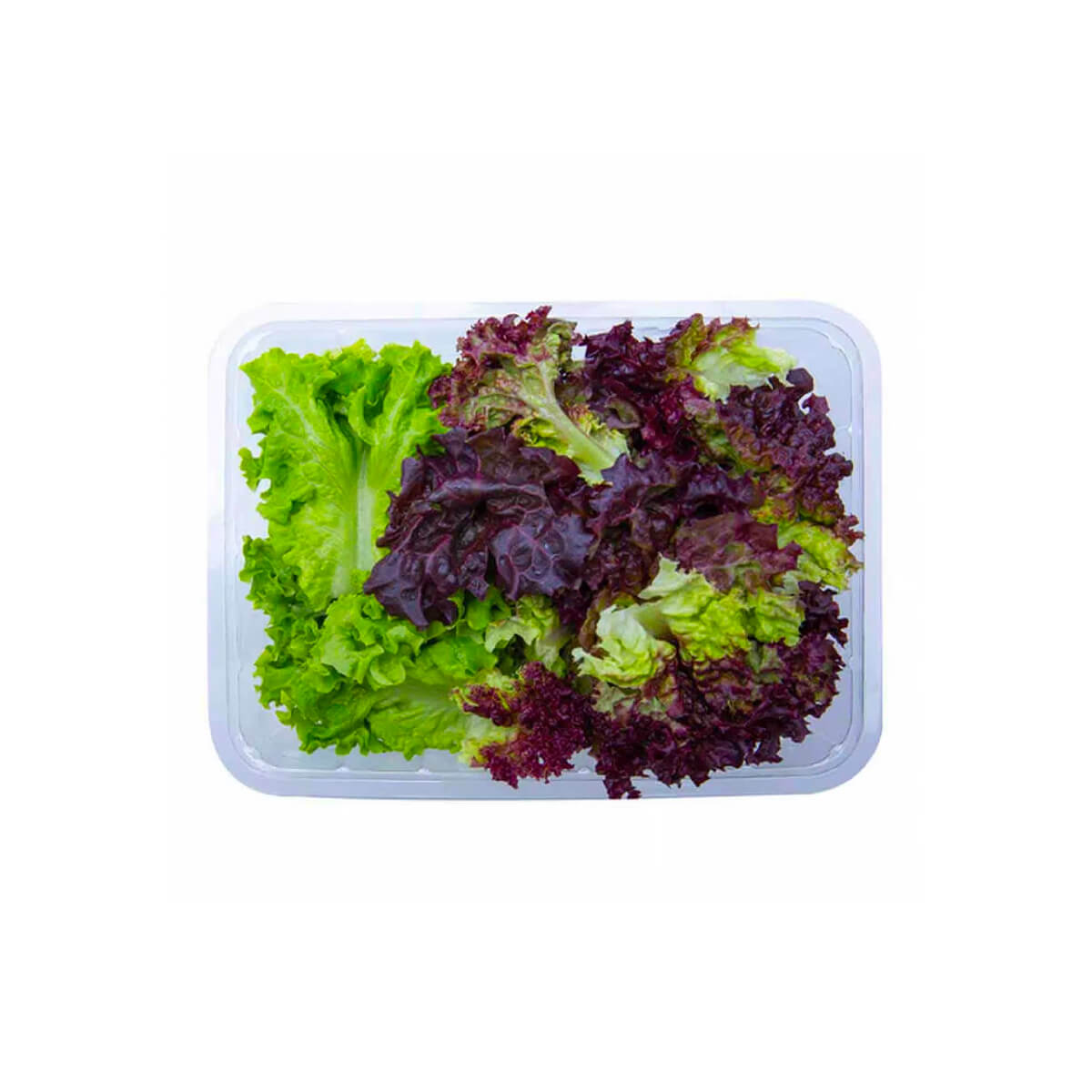 Hygrow Chopped Lollo Mix Uae 100g Pack