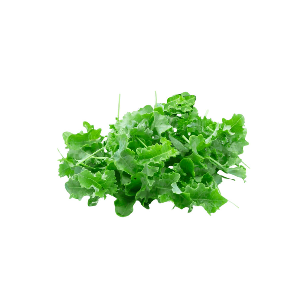 Hygrow Baby Curly Kale Uae 100g Pack