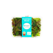 Hygrow Gourmet Blend Mix Uae 100g Pack