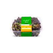 Hygrow Oak Leaf Red  Uae 100g Pack