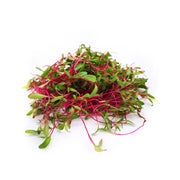Beetroot Microgreen Uae 50g Pack