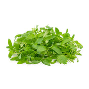 Coriander Microgreen Uae 50g Pack