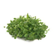Mustard Microgreen Uae 50g Pack
