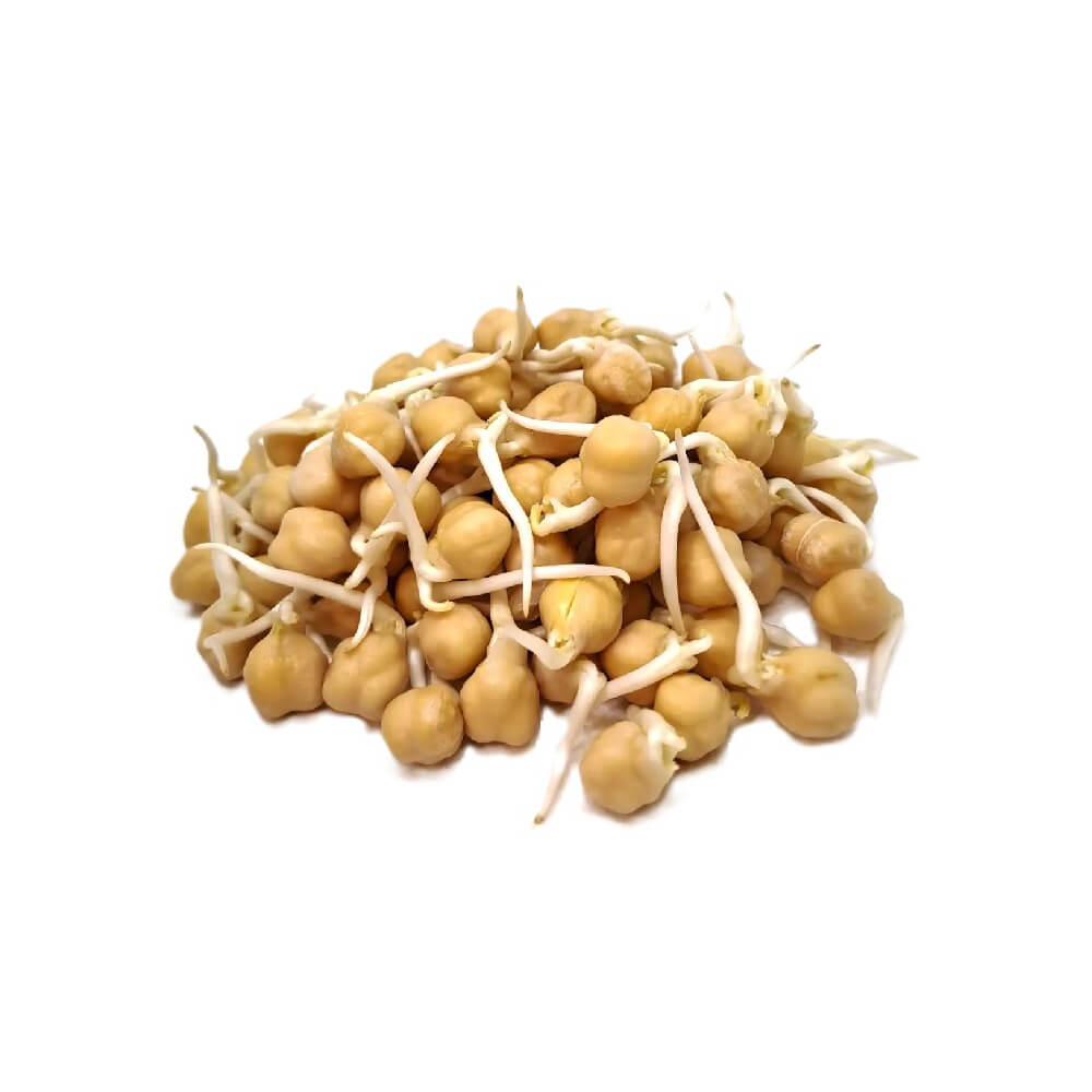 White Chickpeas Sprout Uae 200g Pack