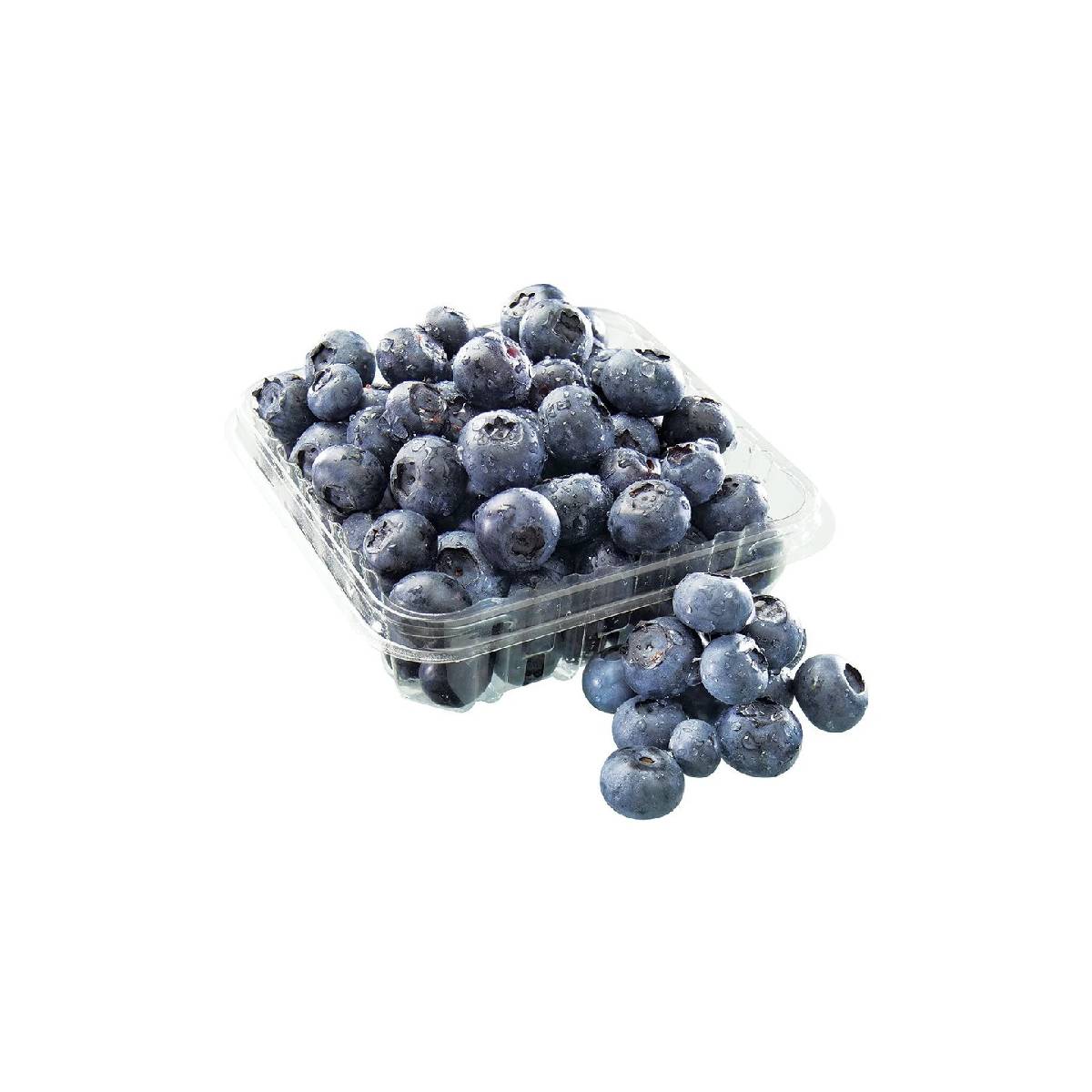 Blueberry Namibia 125gm Packet
