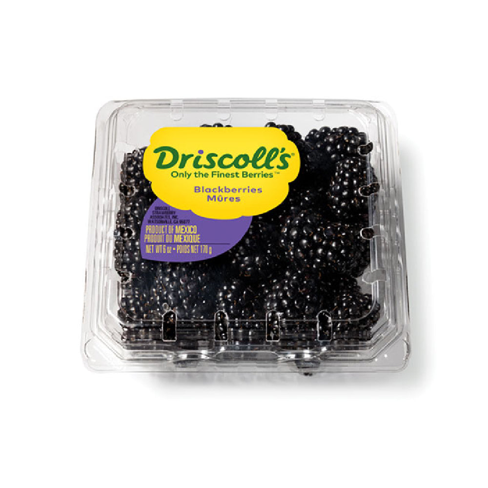 Driscoll's Blackberry Mexico 170g Pack