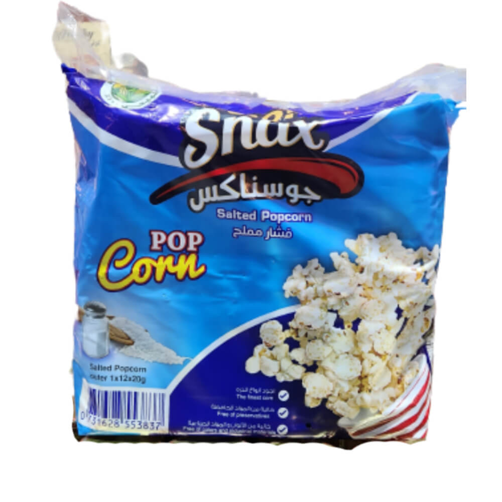 Go Snax Salted PopCorn 12x20gm
