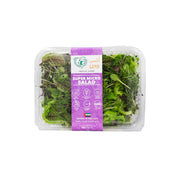 UNS Farm Super Micro Salad Uae 100g Pack