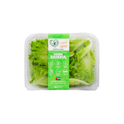 UNS Farm Green Batavia Lettuce Uae 100g Pack