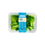 UNS Farm Unsberg Lettuce Uae 100g Pack