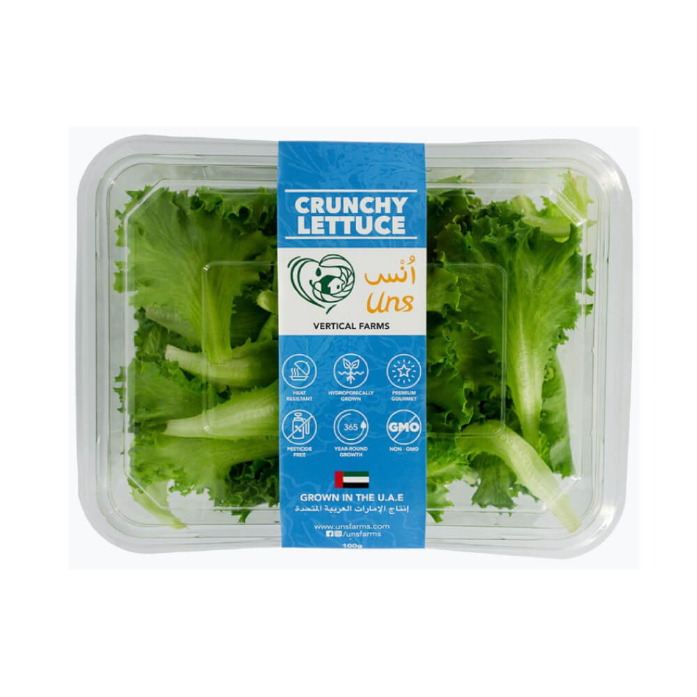 UNS Farm Crunchy Lettuce Uae 100g Pack