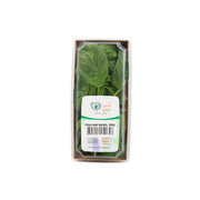 UNS Farm Italian Basil Uae 50g Pack