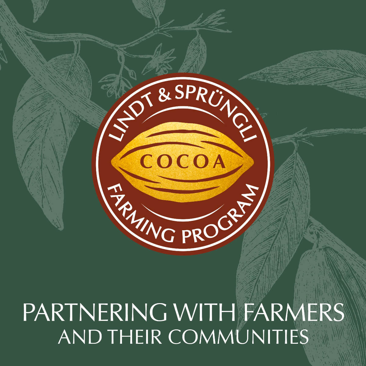 Lindt Lindor Milk Chocolate Irresistibly Smooth 100gm