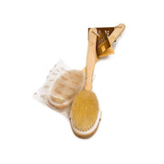 Aqua Massage-Corpo Fit Brush