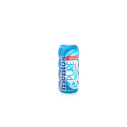 Mentos Gum Fresh Mint Pkt Btl 24G